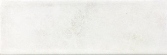 Abalone Fun White