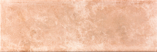 Abalone Iyun Terra