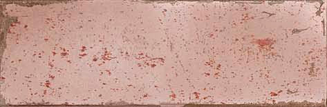 Amazonia Coral Subway