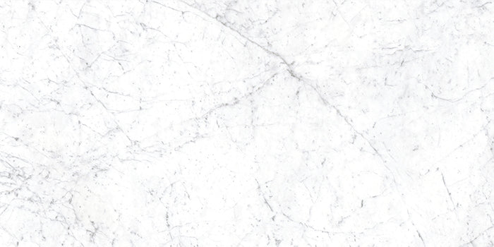 Euromarmo Carrara Venatino