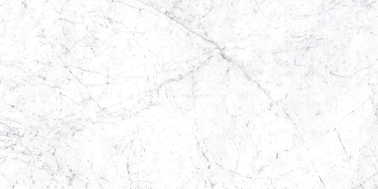 Euromarmo Carrara Venatino
