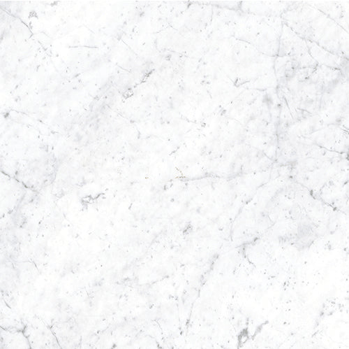 Euromarmo Carrara Venatino