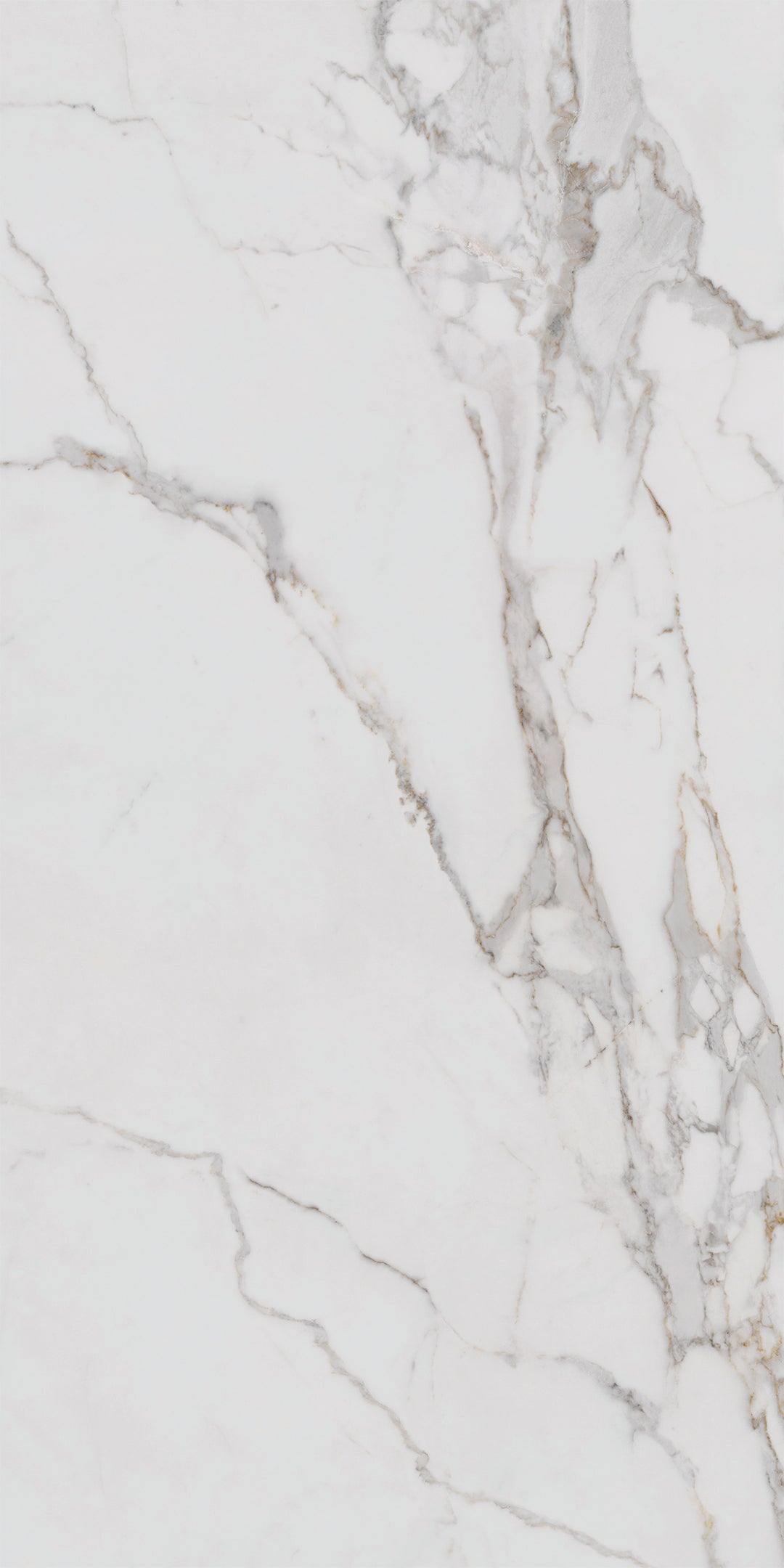 Megaslim Slab Calacatta Gold