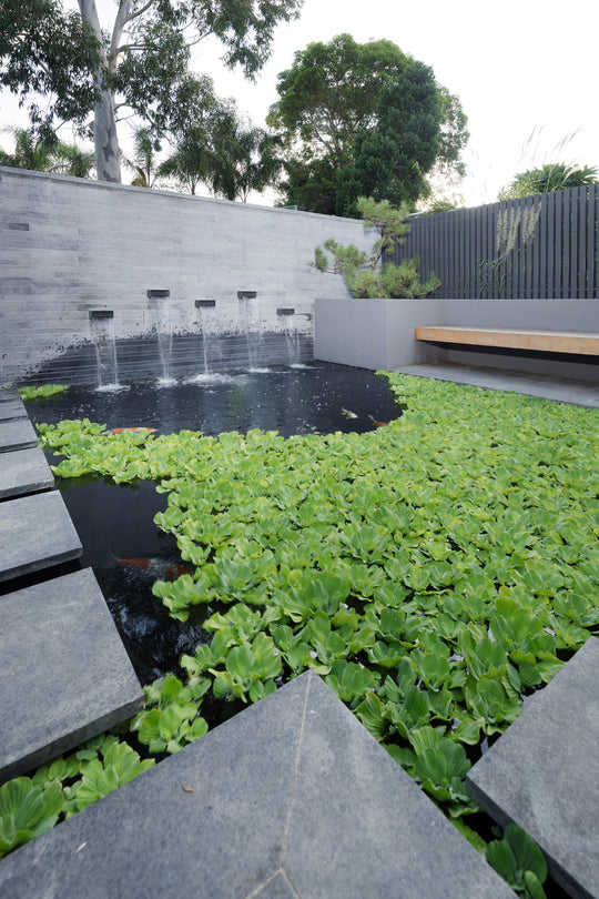 Midnight Granite