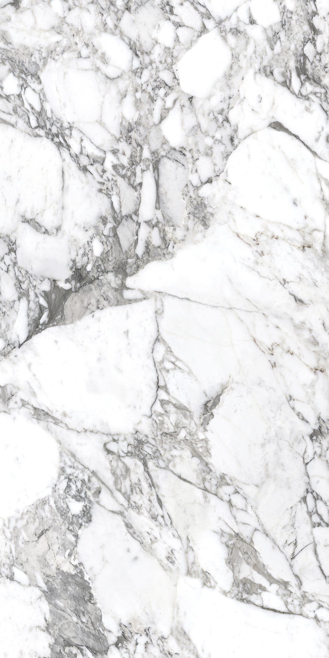 Superb Marble Arabescato