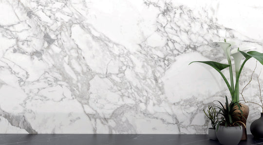 Superb Marble Arabescato