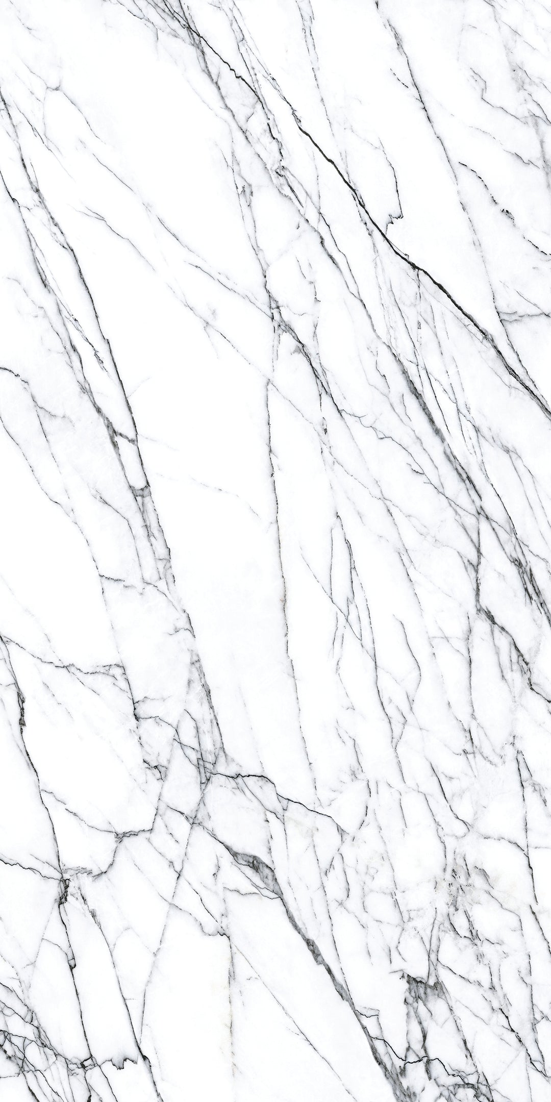 Superb Marble Lilac