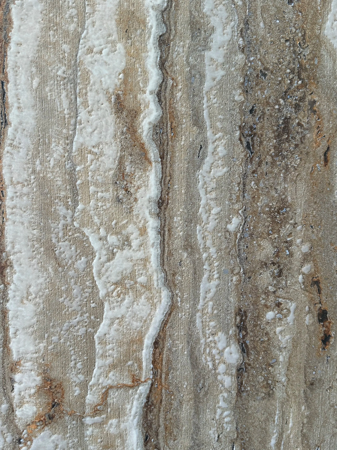 Vein Cut